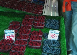 KIF_3051 - copia (Copiar)