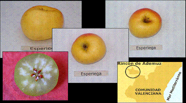 manzana-2 (Copiar)